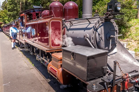 Puffing Billy & Dandenong Ranges