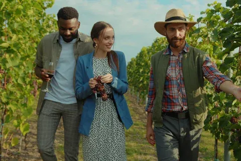 jpeg optimizer Winery Tours 1